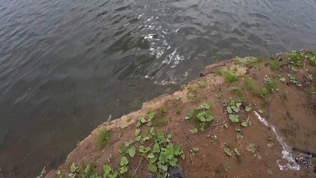 Рыбалка на джиг. БЕРШИ, СУДАЧКИ И ЛАСТОЧКИ.