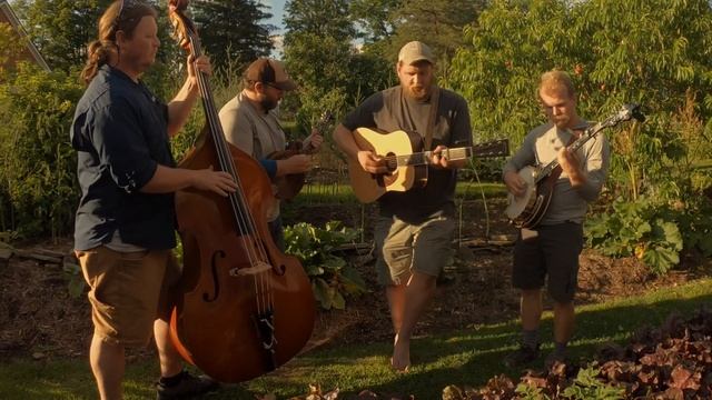 Seldom Said No - Gentle on my Mind (John Hartford) смотреть онлайн