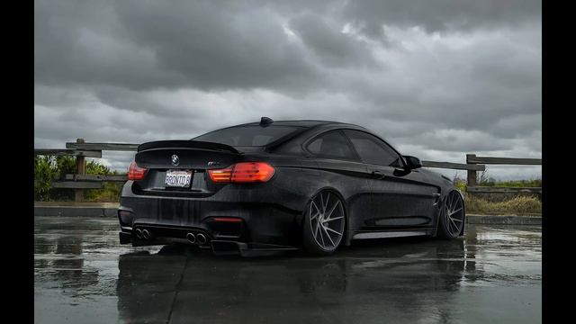 Novella смотреть онлайн