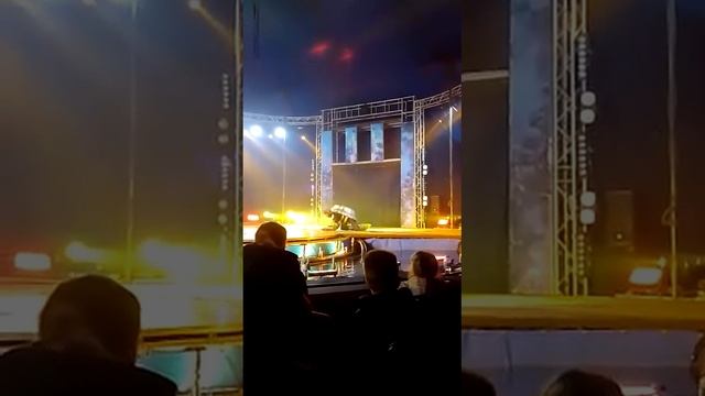 Цирк В Катовице #катовице #цирк смотреть онлайн