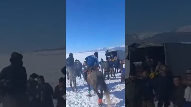 Кокпар#ер канаты ат# смотреть онлайн