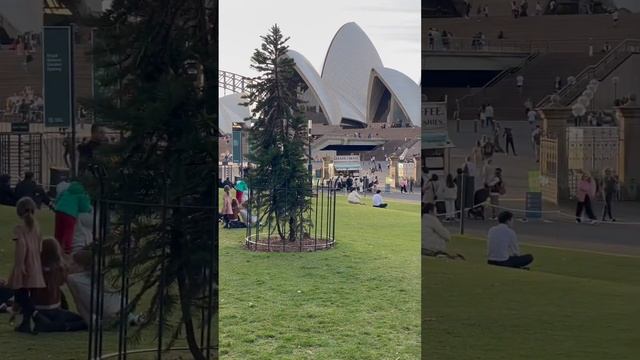 Evening View Of Opera House