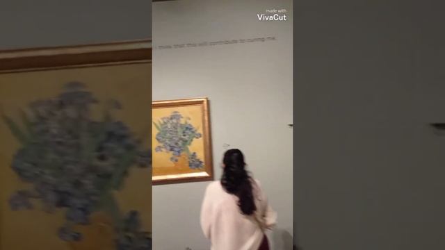 Путешествие в Амстердам. Amsterdam 2022