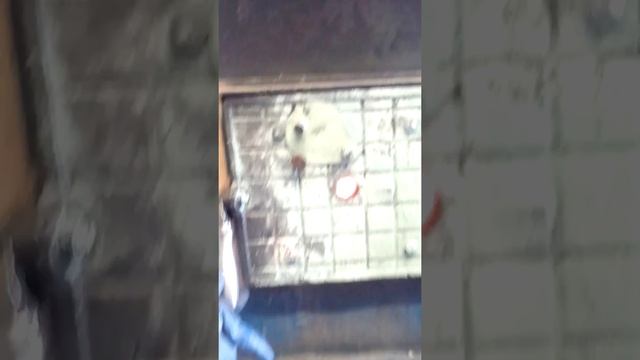 Нож из напильника смотреть онлайн