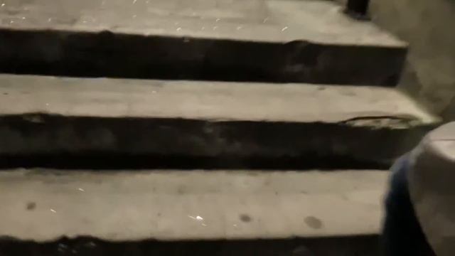 Прогулки по ночному Сиднею ~ismmedina смотреть онлайн