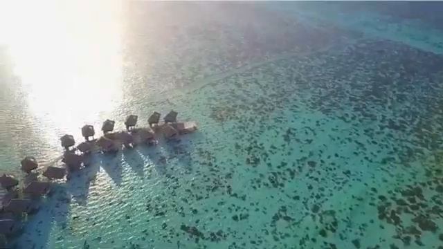 Французская Полинезия French polynesia смотреть онлайн