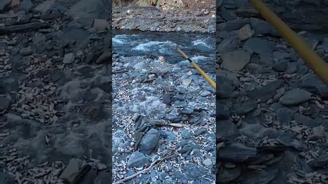 У УМАРА пока не клюёт !