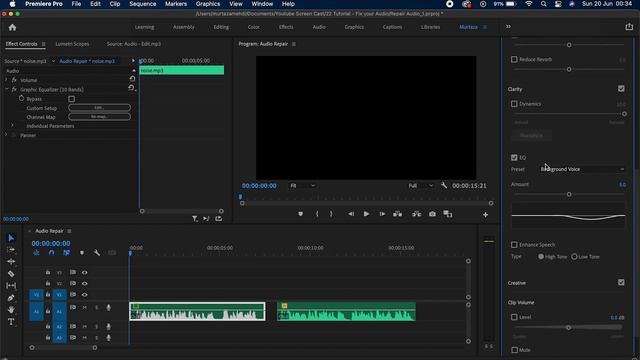 Learn All About Audio in Premiere | Audio Editing | Tutorial | Premiere Pro 2021 смотреть онлайн