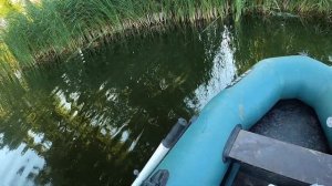 Ловля на раколовки ночью: проверяю улов