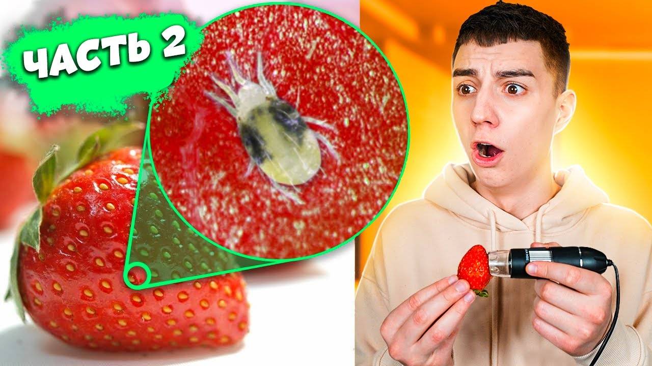 СМОТРЮ НА ВСЕ ПОД МИКРОСКОПОМ ЧЕЛЛЕНДЖ ЧАСТЬ 2 ! смотреть онлайн