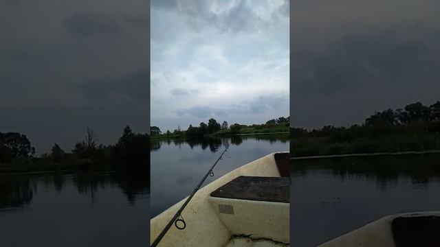 Долгожданная поклевка карандаша на спиннинг!