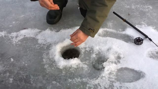 вываживание мелкой щуки смотреть онлайн