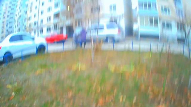 прогулка с собакой смотреть онлайн