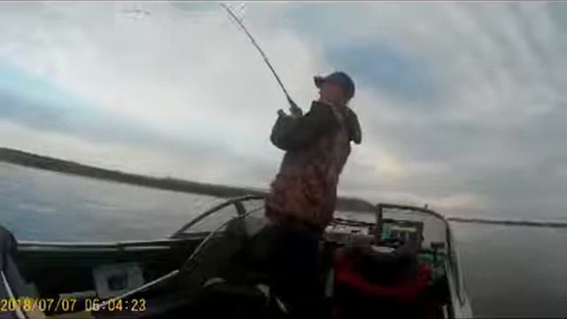 Поклевка сома