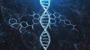 Моё славное тело | Зеркало славы