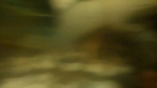 Рыбалка в аквариуме смотреть онлайн