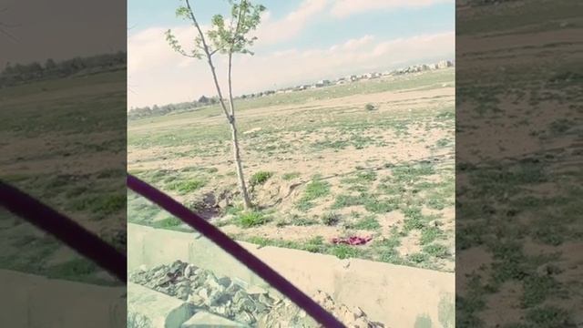 #loudsound #pride #avatar #aria #deafbons #edge #machete #hannibal #урал #музыка #автозвук #опер