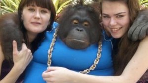 unki-оперсайфер 20 минут