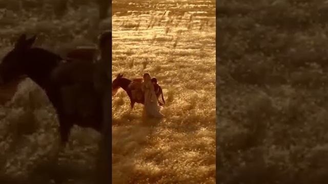 Бегство в Египет Святого Семейства/Иосиф и Мария и Младенец Иисус/Евангелие/Новый Завет/Библия смотреть онлайн