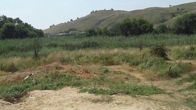 Лето на Луганьщине смотреть онлайн