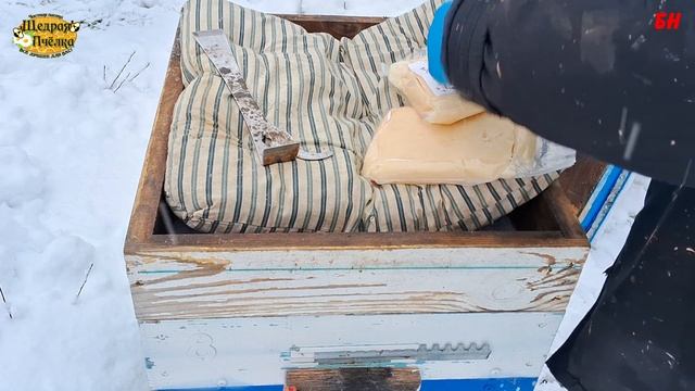 пасека, даю канди, не закорм, не вынужденно, планово, не лезьте в ульи зимой смотреть онлайн