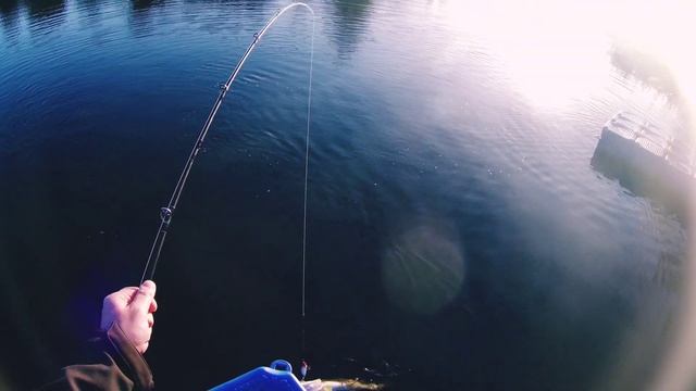Jerkbait Slider #pike #szczupak #salmo #jerkbait #aksov50x смотреть онлайн