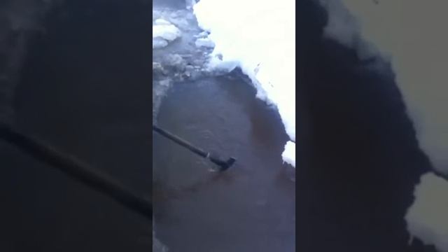 Ловля щуки.