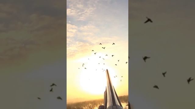 Лучшие Моменты на Охоте! Impala Plus смотреть онлайн