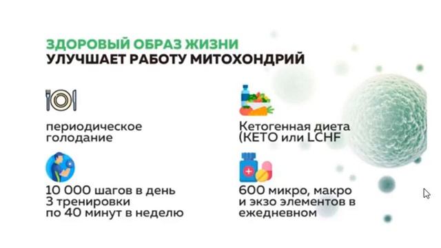 📹Марафон -10кг за 2 недели! #Vertera #стройнаяфигура смотреть онлайн