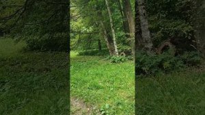 Летняя экскурсия по Ясной Поляне!