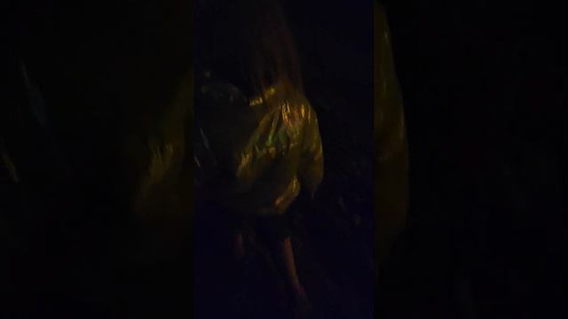 Точно быдло