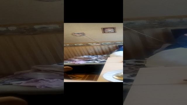 дорис Анд моррис смотреть онлайн