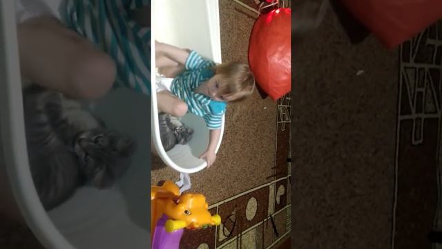 Кот любит ванну смотреть онлайн