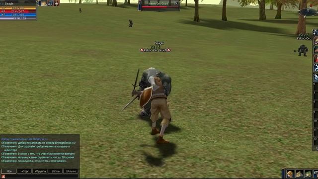 обзор  игры Lineage 2