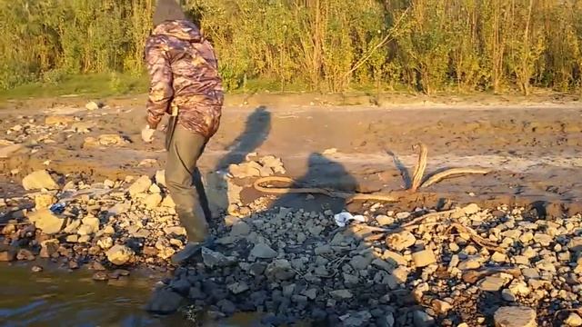 лиса смотреть онлайн