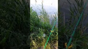Поехали на рыбалку с дедушкой 👍👍👍👍👍👍