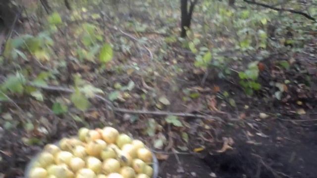 Примитивные технологии Коромысло