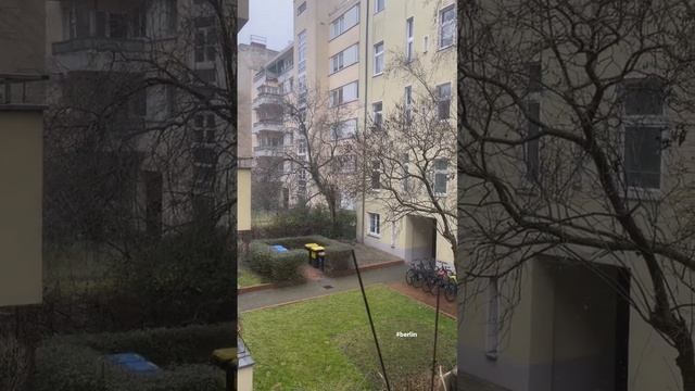 A cold Snowy Day from Window. #berlin #germany #lifeinberlin смотреть онлайн