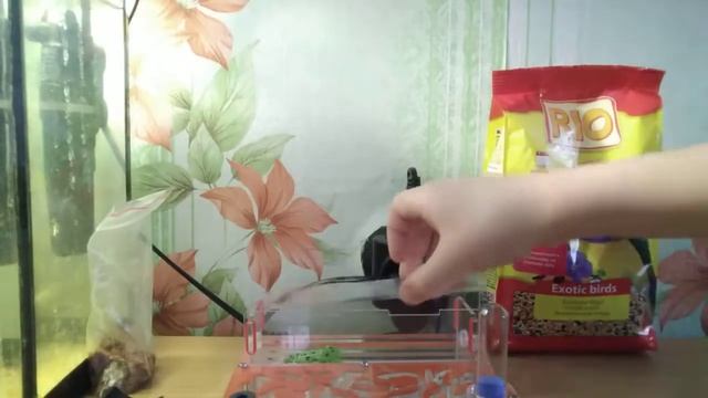 КУПИЛ КОРМ ДЛЯ МУРАВЬЁВ, ТЕСТИРУЕМ ПОИЛКУ смотреть онлайн
