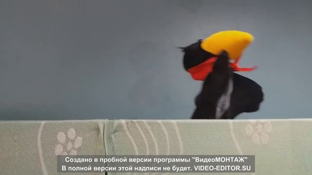 театр кукол "Сюрприз" смотреть онлайн