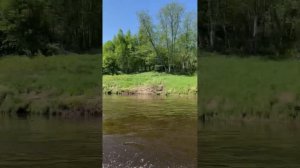 Yamaha 8 CMHS & USSR “Kazanka” boat