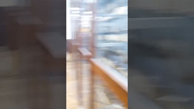 Зоологический музей часть 3 смотреть онлайн