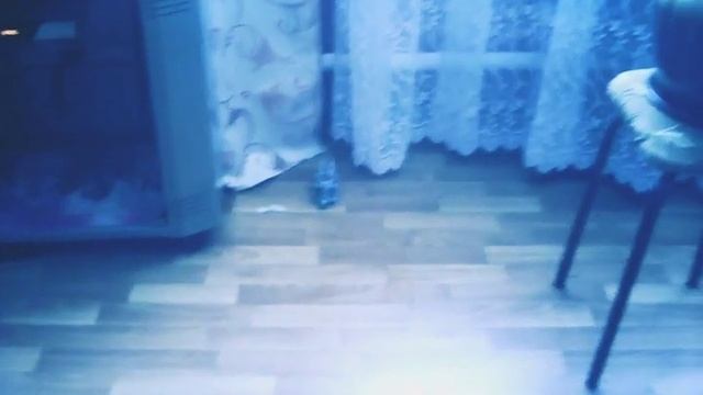 Тигр бежит смотреть онлайн