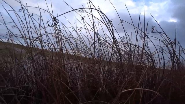 ШИКАРНАЯ ОХОТА НА УТКУ! С ЧУЧЕЛАМИ НА РИСОВОМ ОЗЕРЕ. смотреть онлайн