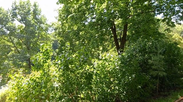 Путешествую одна 3 день усадьба Лермонтовых. смотреть онлайн