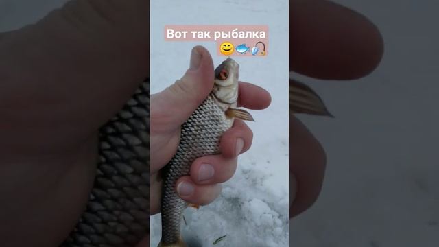 РЫБАЛКА на МОРМЫШКУ 🐟 РЕКА ЗУША 🐟🌊🎣🐟🌊🏞️🌀📽️🏞️🌲🌲🌲🌲🌲☃️🌀