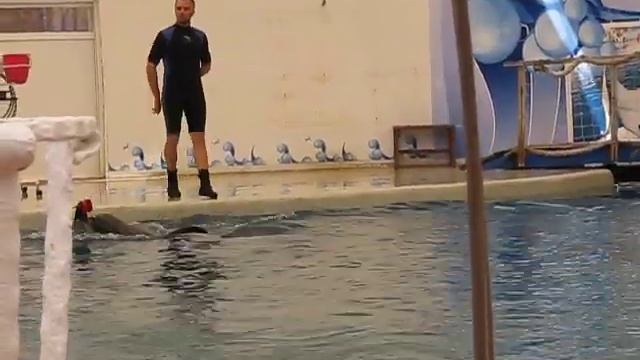 Дельфинарий Troy Aqua & Dolphinarium. Белек. Турция.