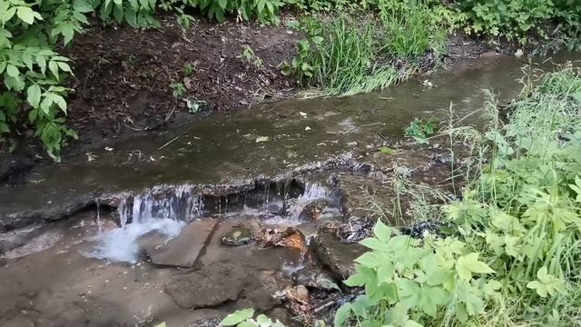 Коломенское (Москва) смотреть онлайн