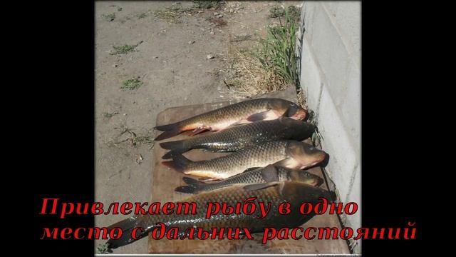 супер приманка для рыбы отзывы смотреть онлайн