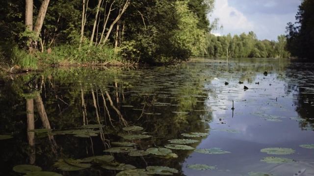 #29 Усадьба Остафьево, вещи Пушкина, идеальные пейзажи для оперной партии, парк в ЗИЛе. смотреть онлайн